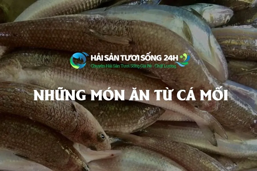 Top những món ăn từ Cá Mối