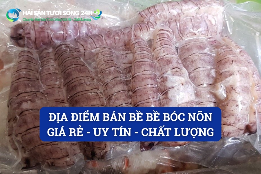 Địa điểm bán bề bề bóc nõn giá rẻ - uy tín - chất lượng