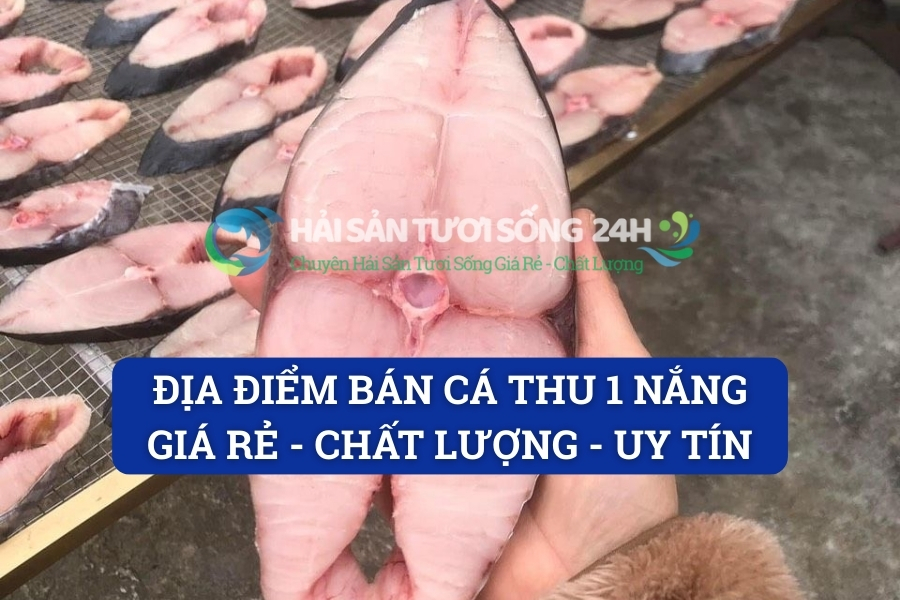 Địa điểm bán cá Thu 1 nắng giá rẻ - Chất lượng - Uy tín