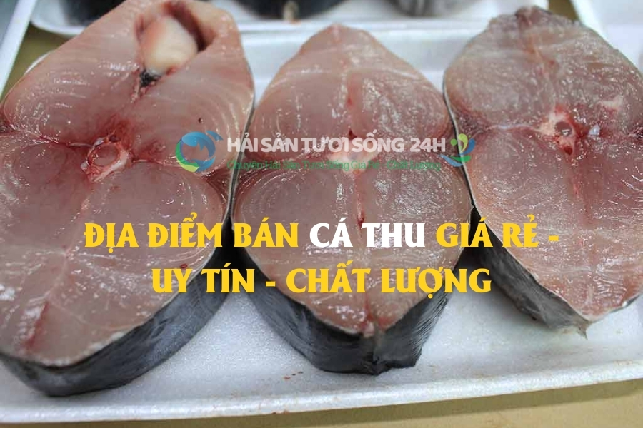 Địa Điểm Bán Cá Thu Giá Rẻ - Uy Tín - Chất Lượng