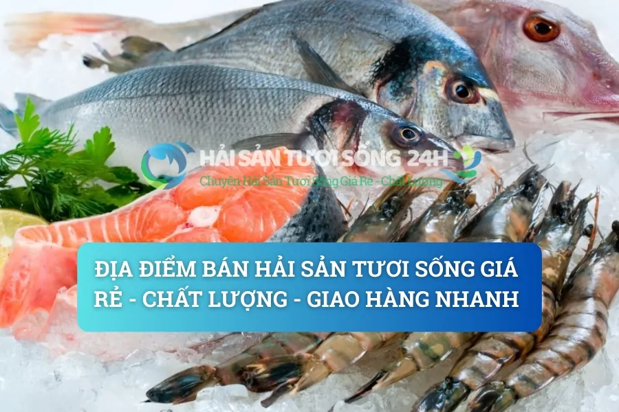 Địa điểm bán hải sản tươi sống giá rẻ - Chất Lượng - Giao hàng nhanh