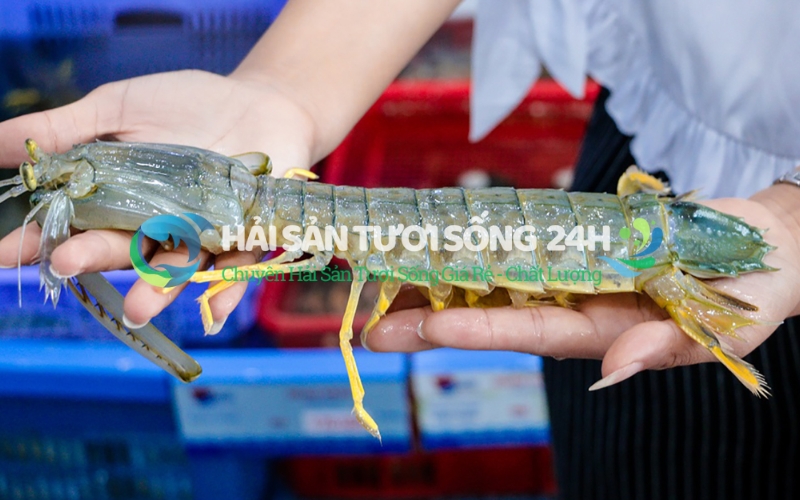 Hải Sản Tươi Sống 24h - Địa chỉ tin cậy cho bữa ăn gia đình