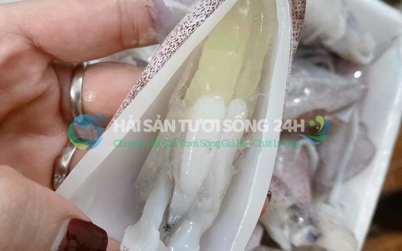 Mách nhỏ cách chế biến mực Trứng giữ trọn vị ngon