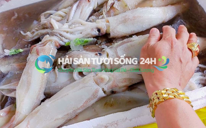 Mẹo chọn mực ống tươi ngon "đáng đồng tiền bát gạo"