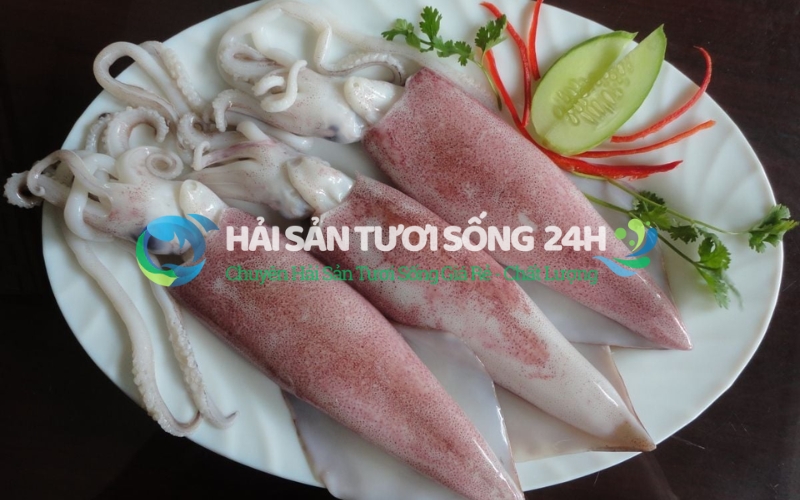 Mực ống bao nhiêu 1kg? Bảng giá tham khảo mới nhất