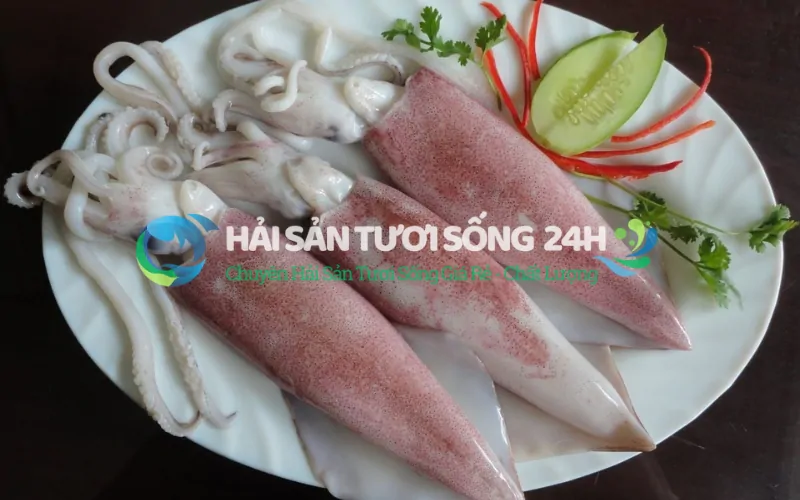 Mực ống bao nhiêu 1kg? Bảng giá tham khảo mới nhất