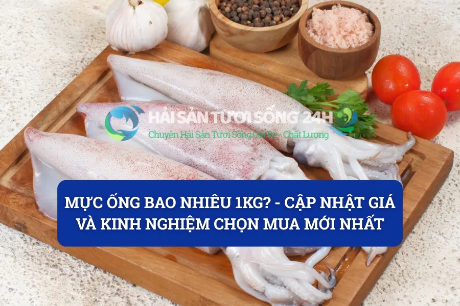 Mực ống bao nhiêu 1kg