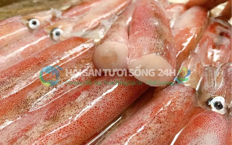 Mực trứng là gì mà ai ăn cũng nghiền?