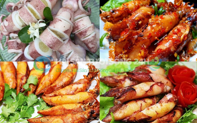 Mực trứng làm món gì ngon nhất cho bữa cơm gia đình?