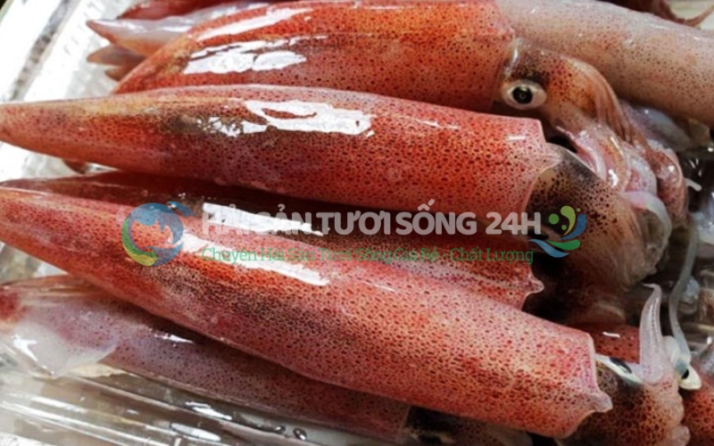 Nhìn vào đầu và thân mực