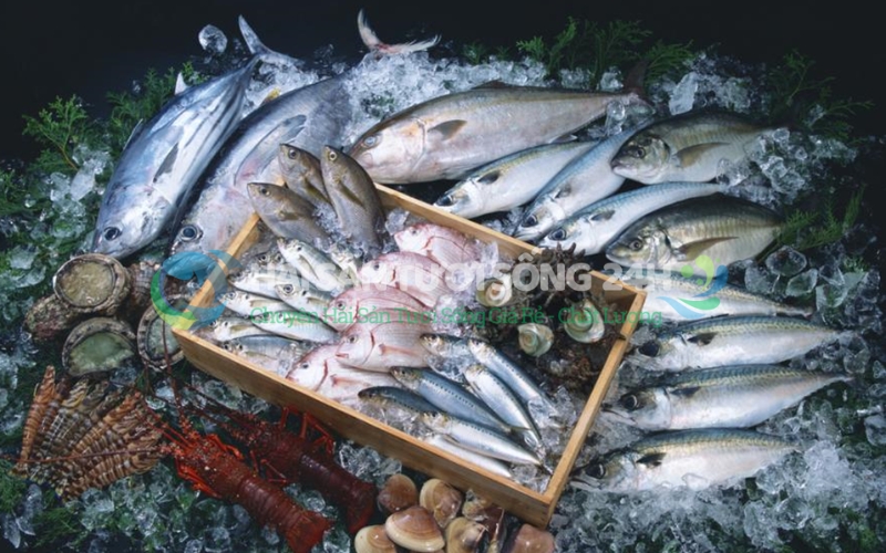 Nỗi niềm của người đi chợ: Mua hải sản tươi sống sao mà khó thế?