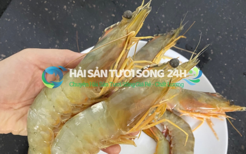 Quan sát kỹ phần đầu và thân tôm