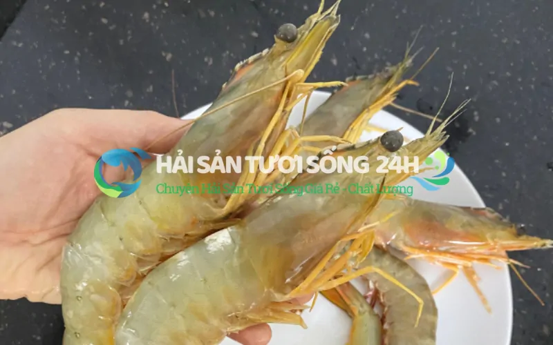 Quan sát kỹ phần đầu và thân tôm