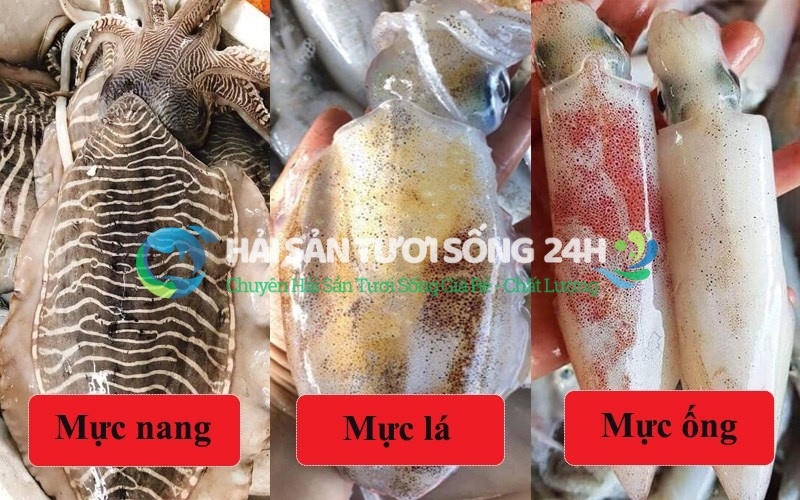 So sánh giá mực mai với các loại mực khác