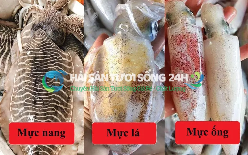 So sánh giá mực mai với các loại mực khác