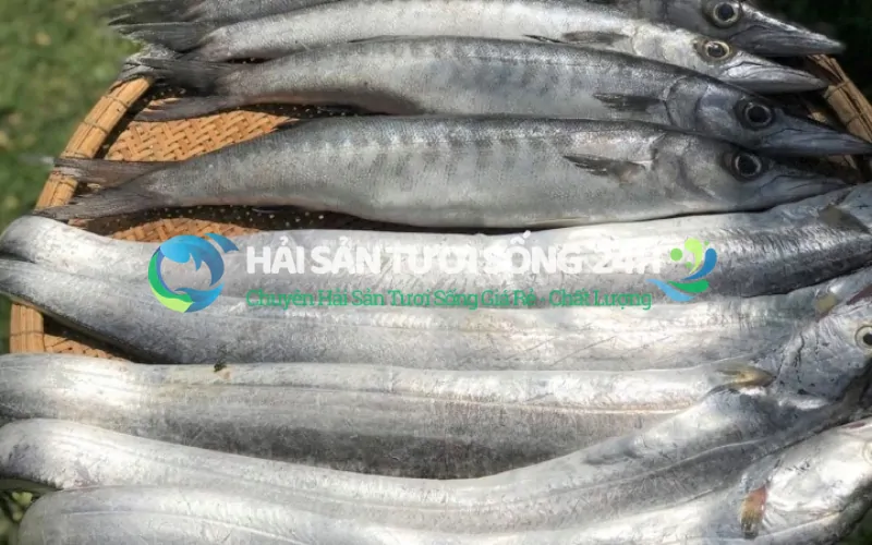 Tại sao cá hố lại được ví là loại cá "ngon - bổ - rẻ"?