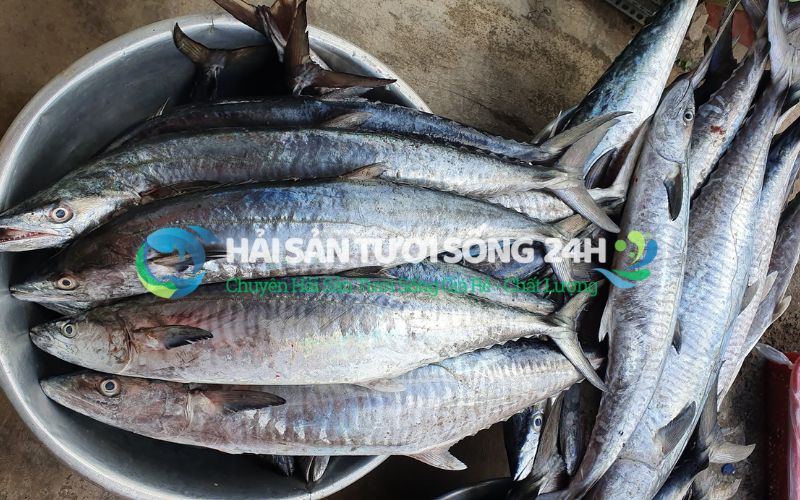 tại sao ca thu luôn là lựa chọn hàng đầu của các bà nội chợ