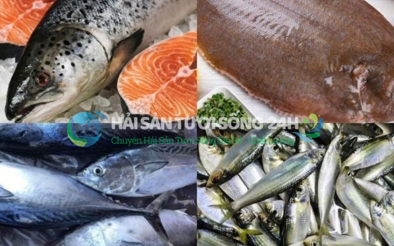 Tại sao phải chọn cá thật kỹ?