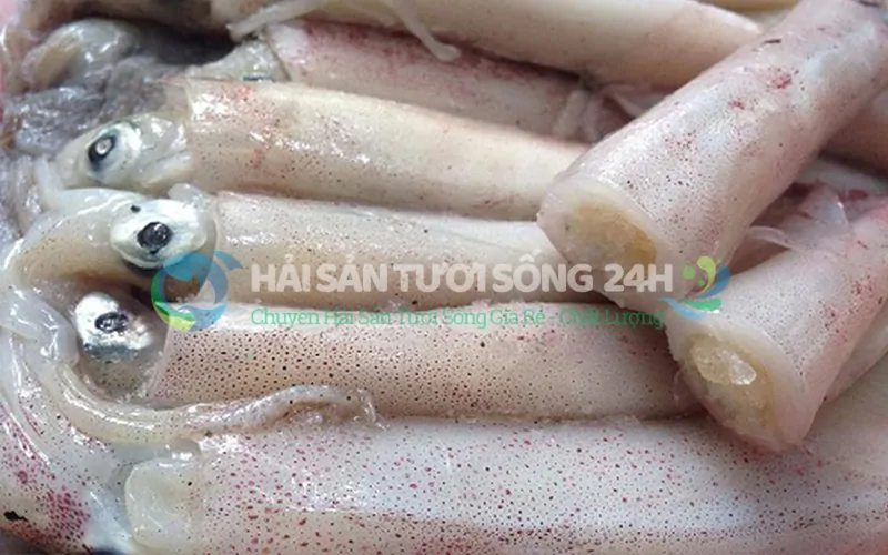 Thời điểm nào để mua được mực nhiều trứng nhất?