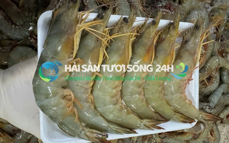 Tôm he là tôm gì? Vì sao lại nhiều người thích?