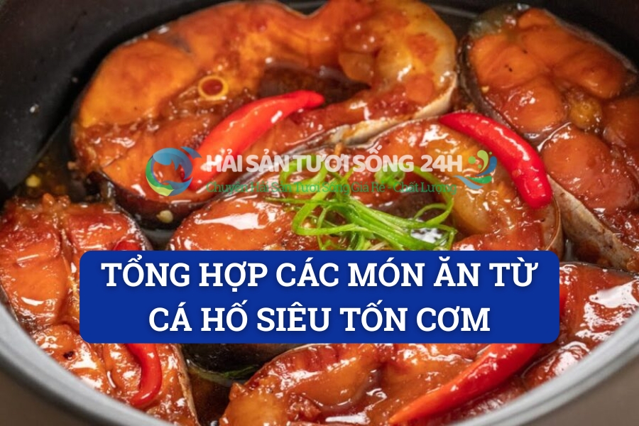 Tổng hợp các món ăn từ cá hố siêu tốn cơm