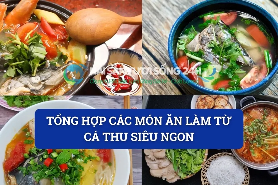 Tổng hợp các món ăn làm từ cá thu siêu ngon