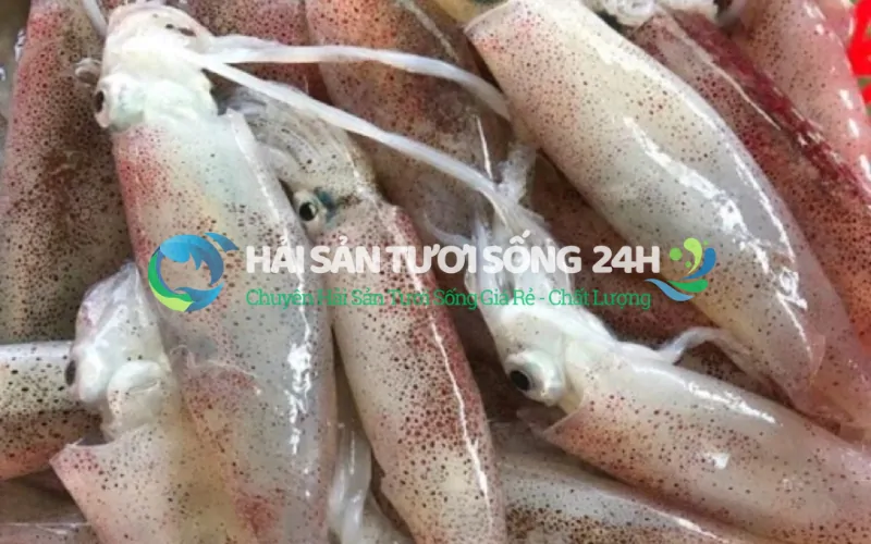 ì sao giá mực ống lại chênh lệch nhau nhiều đến vậy?