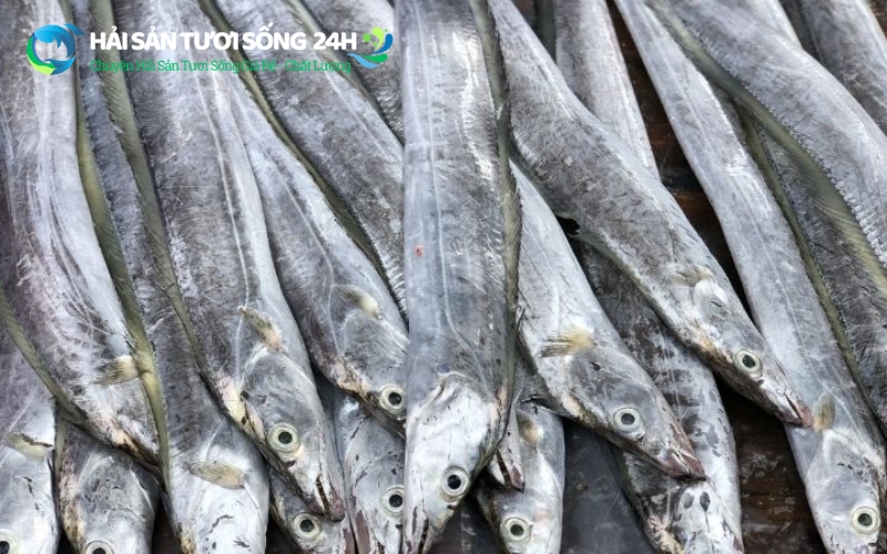 Bí quyết chọn mua cá hố tươi ngon "chuẩn" dân biển