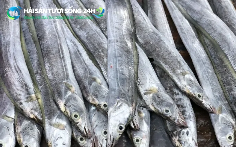 Cá hố là cá gì? Thành phần dinh dưỡng và những lưu ý khi ăn 4 Bí quyết chọn mua cá hố tươi ngon "chuẩn" dân biển
