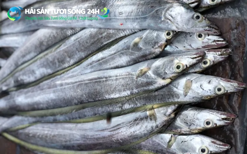 Bí quyết chọn mua cá hố tươi ngon, không bị ươn