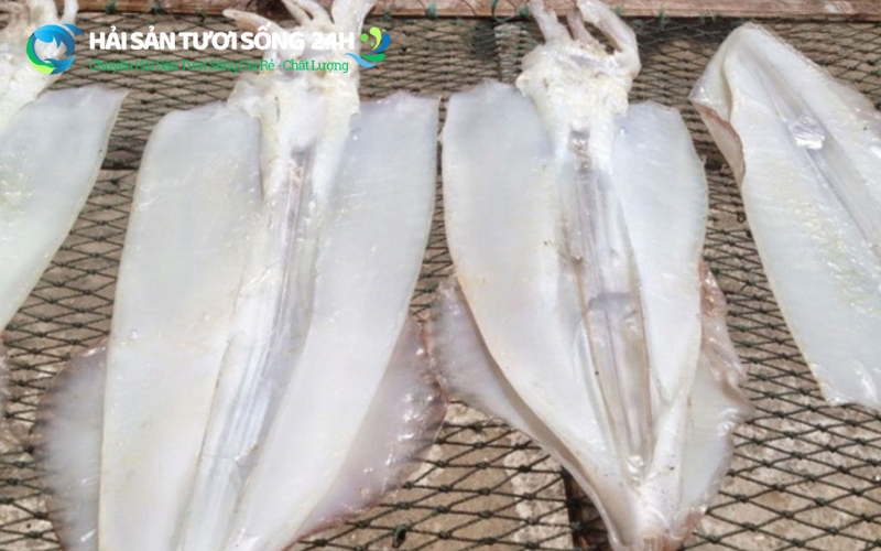 Bí quyết chọn mực mai tươi ngon của Hải Sản Tươi Sống 24H