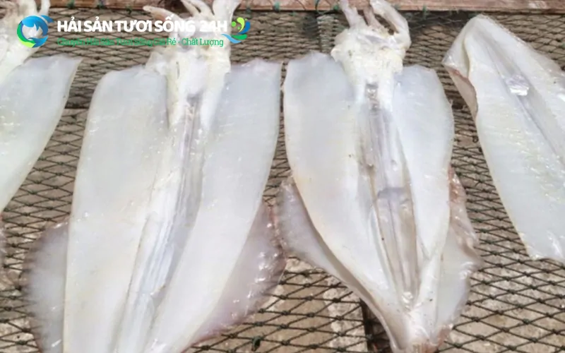 Bí quyết chọn mực mai tươi ngon của Hải Sản Tươi Sống 24H