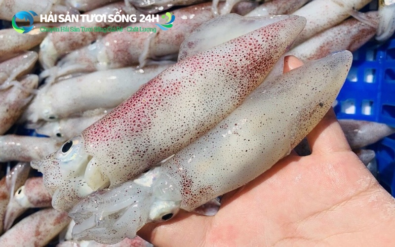 Bí quyết chọn mực trứng tươi ngon "trăm con như một"