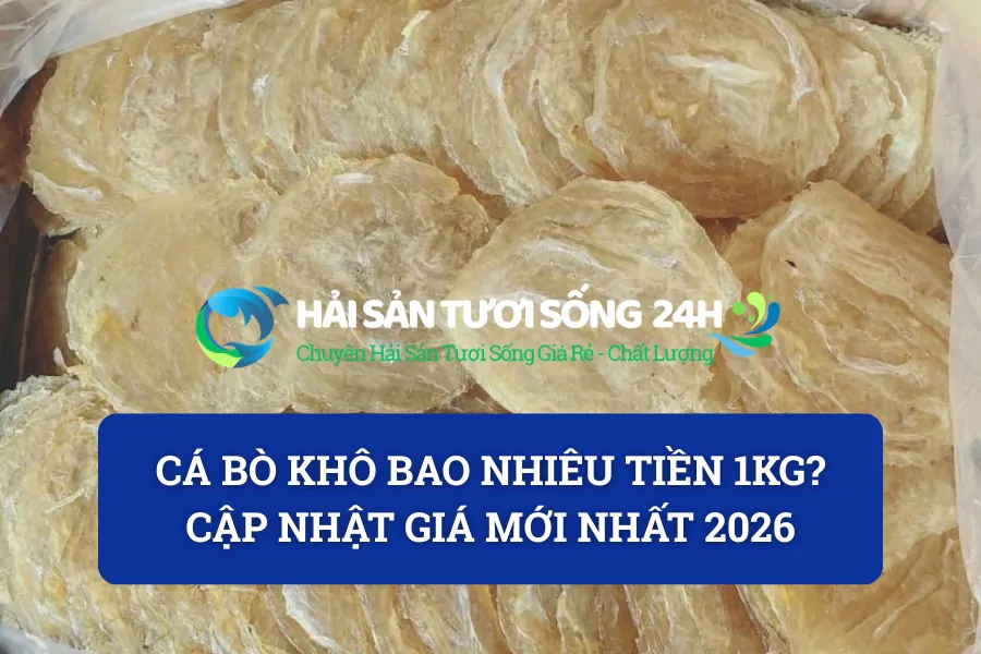 Cá bò khô bao nhiêu tiền 1kg? Cập nhật giá mới nhất 2026