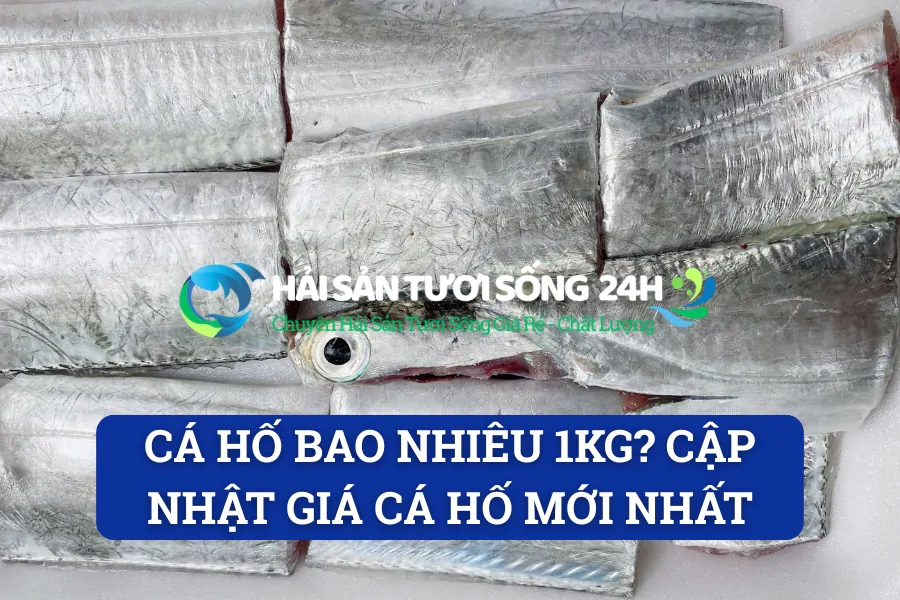 Cá Hố bao nhiêu 1kg? Cập nhật giá cá hố mới nhất