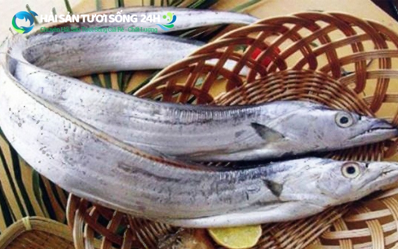 Cá hố là cá gì? Đặc điểm nhận dạng chuẩn nhất