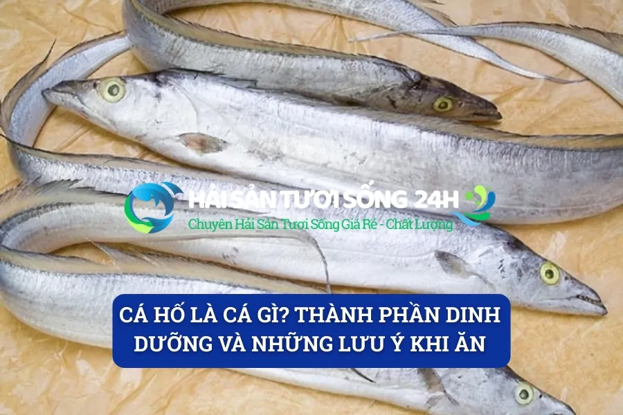 Cá hố là cá gì? Thành phần dinh dưỡng và những lưu ý khi ăn