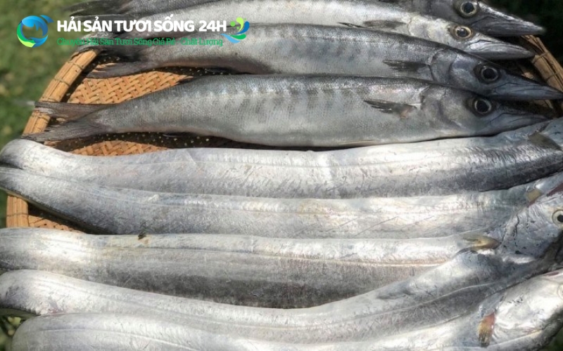 Cá Hố là cá gì?