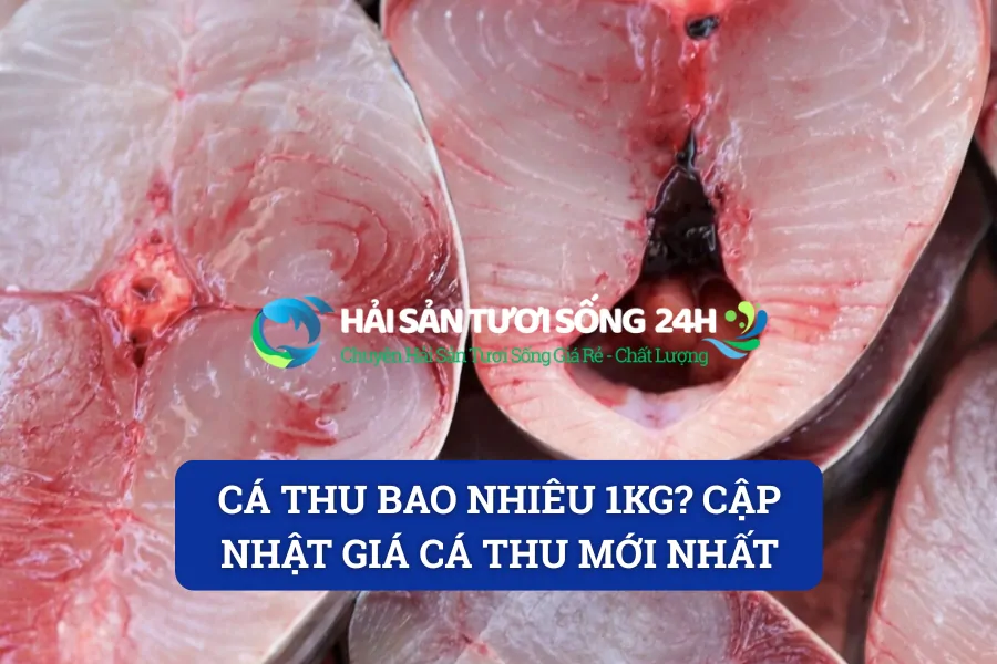 Cá thu bao nhiêu 1kg? Cập nhật giá cá Thu mới nhất