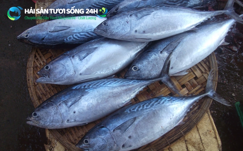 Cá ù là cá gì? Vì sao loại cá này được nhiều gia đình lựa chọn?