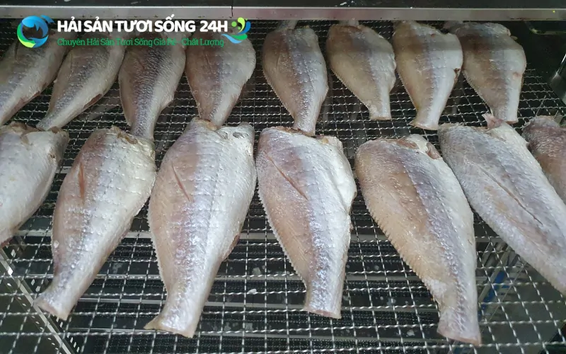 Địa điểm mua cá Đù 1 nắng giá rẻ tại TP Hồ Chí Minh 6 Cách bảo quản cá đù 1 nắng để dùng lâu dài