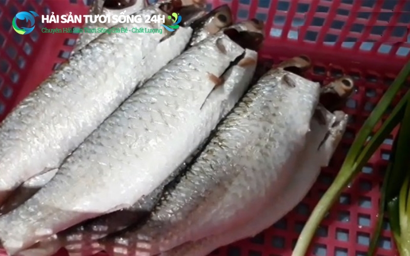 Cách chọn cá đối ngon: Bí quyết của người bán hàng