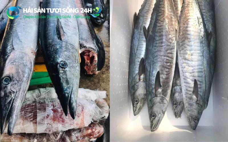 Cách chọn cá thu tươi ngon "đáng đồng tiền bát gạo"