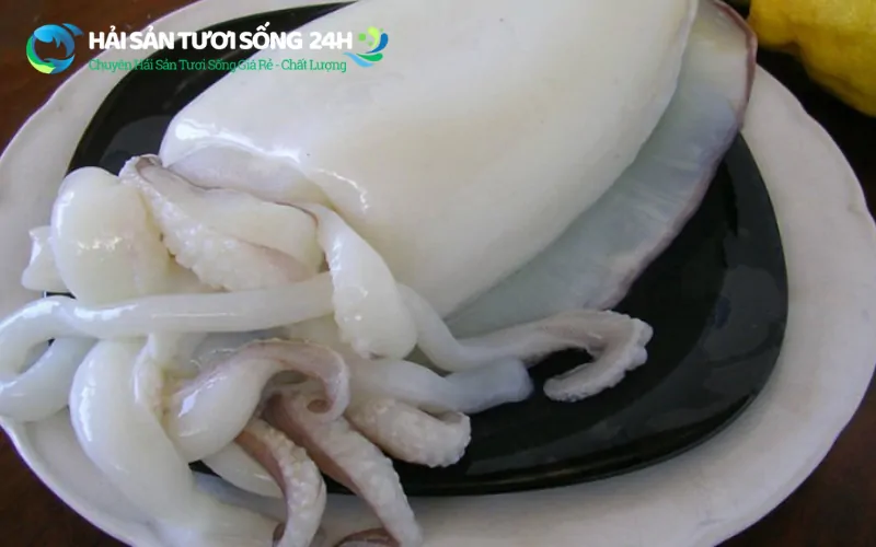 Địa điểm mua mực mai giá rẻ chất lượng 3 Cách nhận biết mực mai tươi ngon