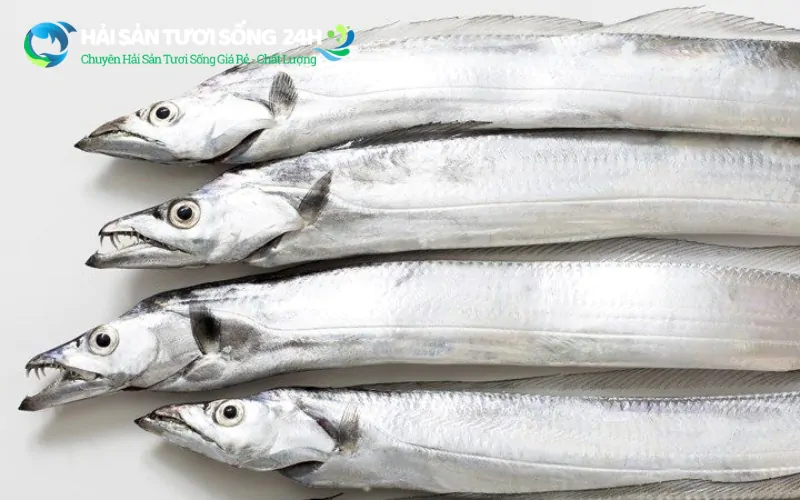 Cá hố là cá gì? Thành phần dinh dưỡng và những lưu ý khi ăn 3 Công dụng của cá hố đối với sức khỏe