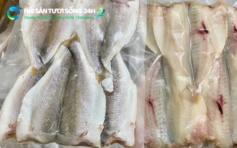 Địa điểm mua cá Đù 1 nắng giá rẻ tại TP Hồ Chí Minh 4 Địa điểm mua cá Đù 1 nắng giá rẻ tại TP Hồ Chí Minh - Mua ở đâu uy tín?