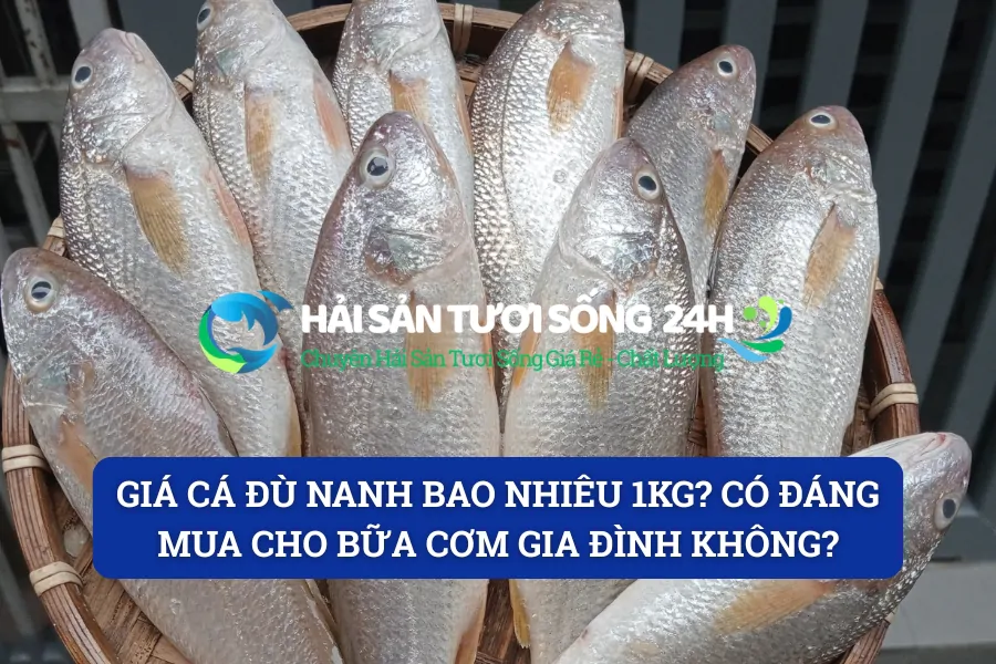 Giá cá đù nanh bao nhiêu 1kg? Có đáng mua cho bữa cơm gia đình không?