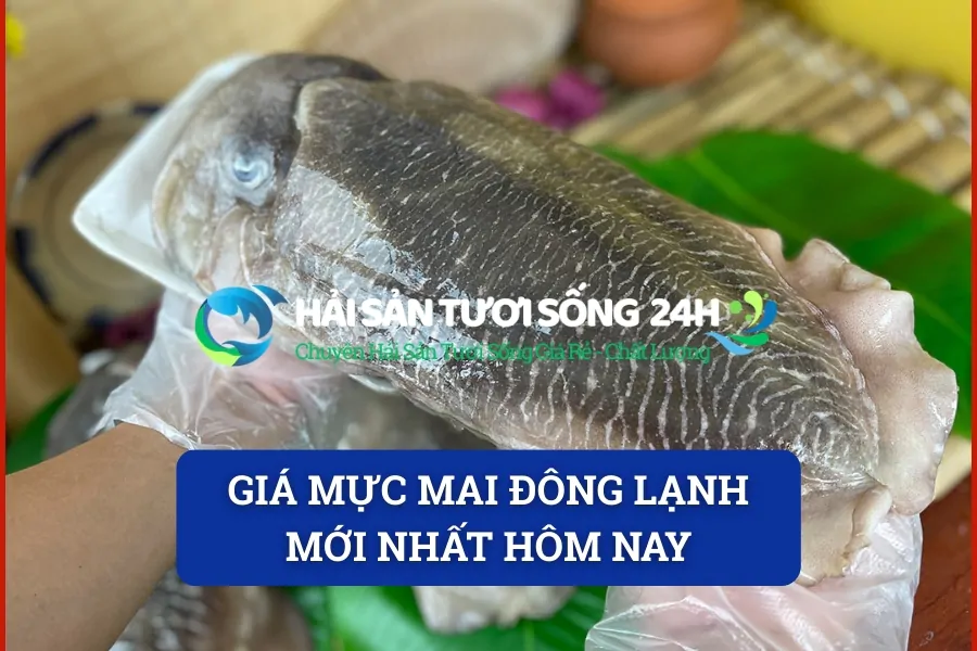 Giá mực mai đông lạnh mới nhất hôm nay