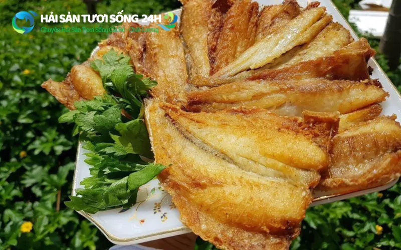 Địa điểm mua cá Đù 1 nắng giá rẻ tại TP Hồ Chí Minh 5 Gợi ý các món dễ làm tại nhà từ cá Đù 1 nắng