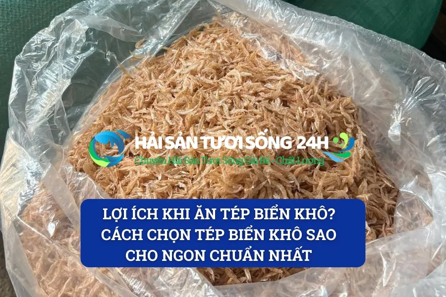 Lợi ích khi ăn tép biển khô? Cách chọn tép biển khô sao cho ngon chuẩn nhất